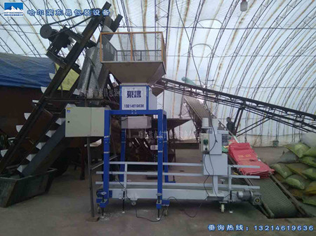 電子化肥包裝秤出口俄羅斯 電子化肥包裝秤出口俄羅斯