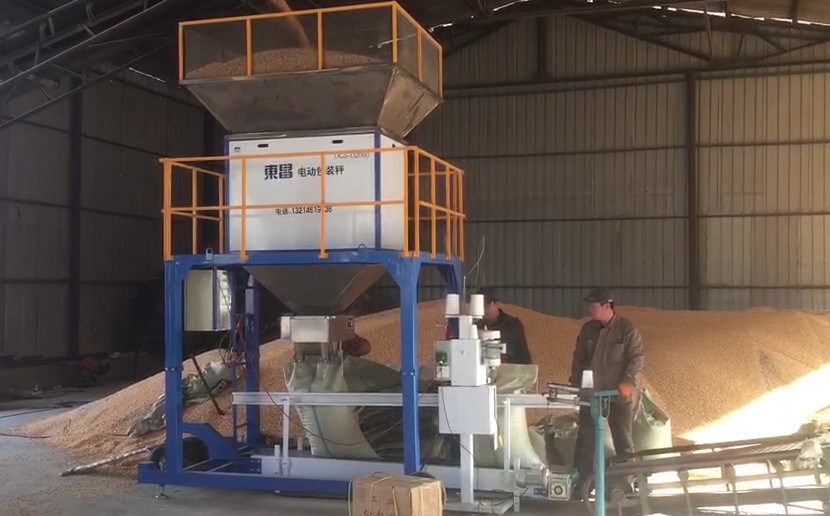 浙江東昌黃豆包裝秤 浙江東昌黃豆包裝秤