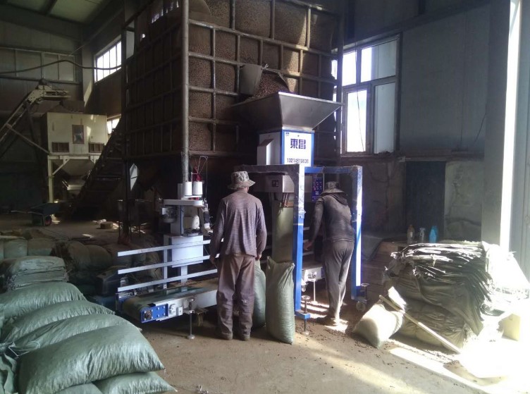 黑龍江東昌包裝秤 黑龍江東昌包裝秤