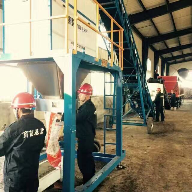 黑龍江電子包裝秤 黑龍江電子包裝秤