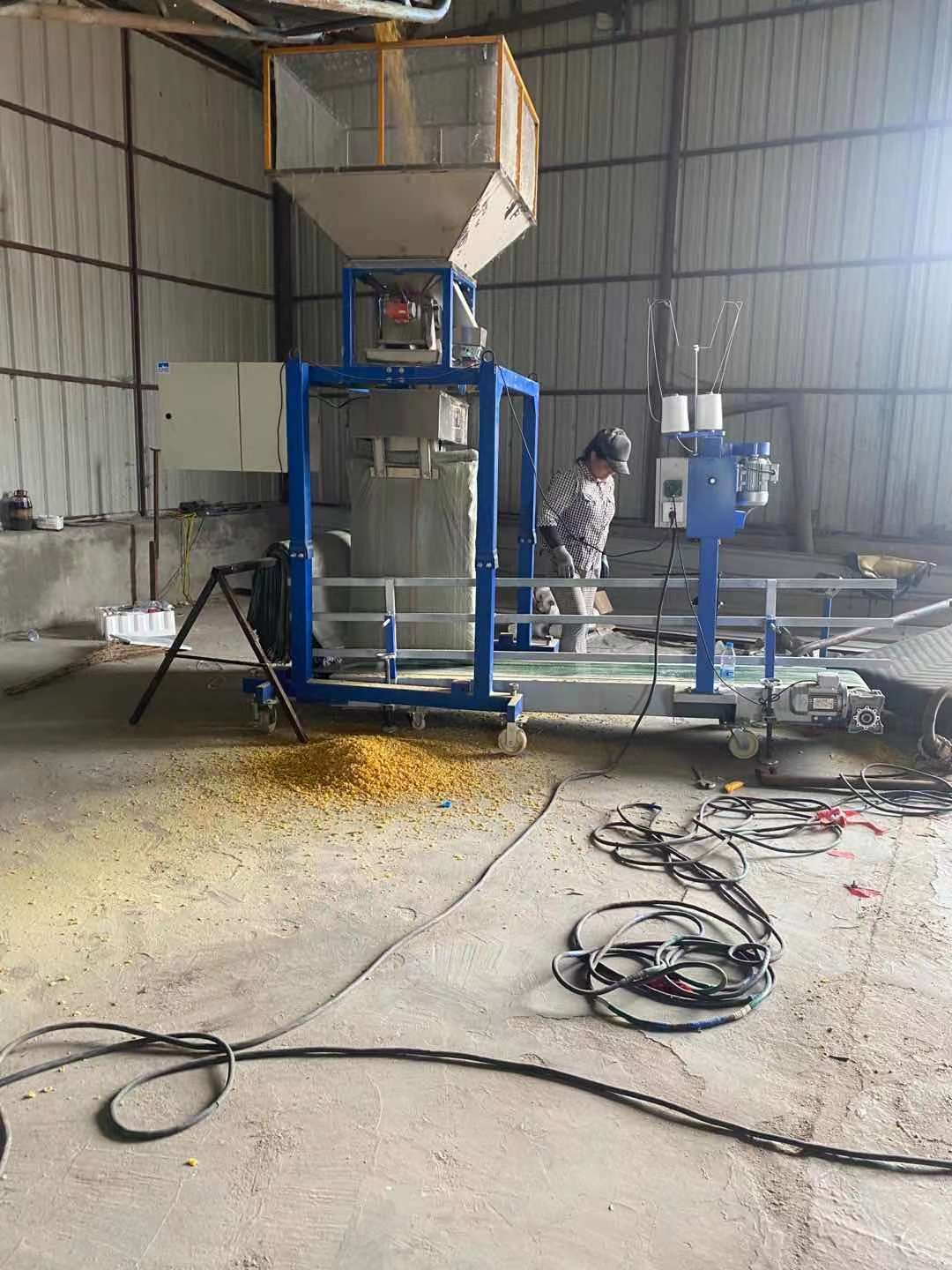 哈爾濱望奎縣包裝秤 哈爾濱望奎縣包裝秤